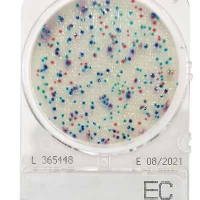 COMPACT DRY (EC) COLIF. & E.COLI (4 UD. PAQ)